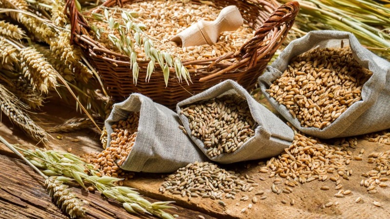 Il Pane e la Pasta, le vere eccellenze dei nostri grani siciliani