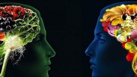 “L’uomo è ciò di cui si nutre”