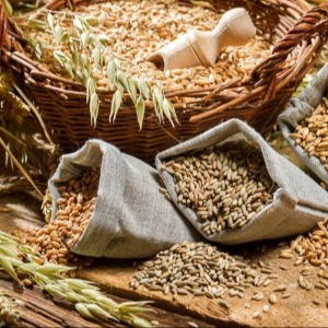 Il Pane e la Pasta, le vere eccellenze dei nostri grani siciliani