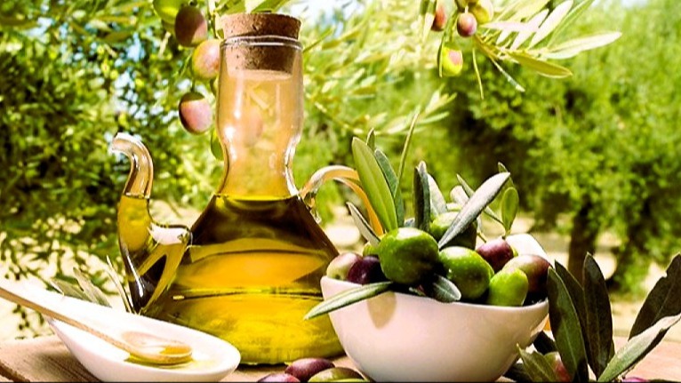 L'Ulivo e l'Olio extra vergine siciliano 