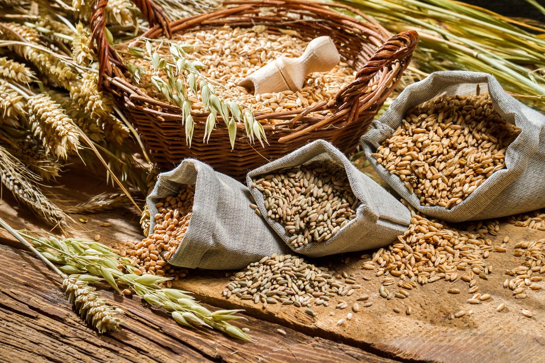 Il Pane e la Pasta, le vere eccellenze dei nostri grani siciliani